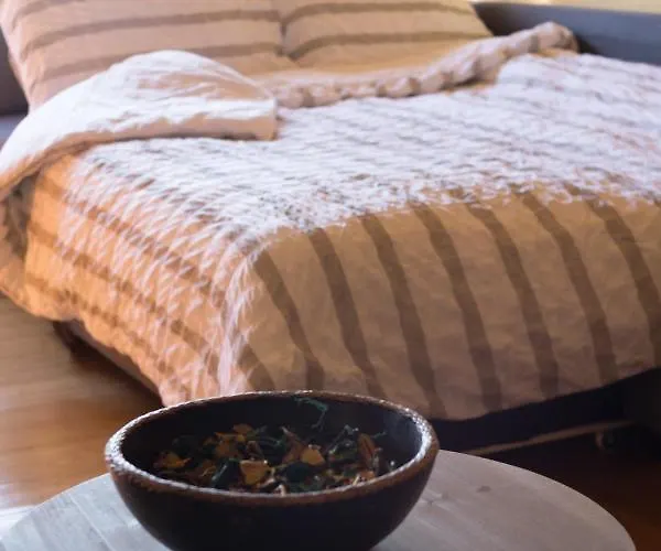 Apartamento Con Piscina Privada Apartment