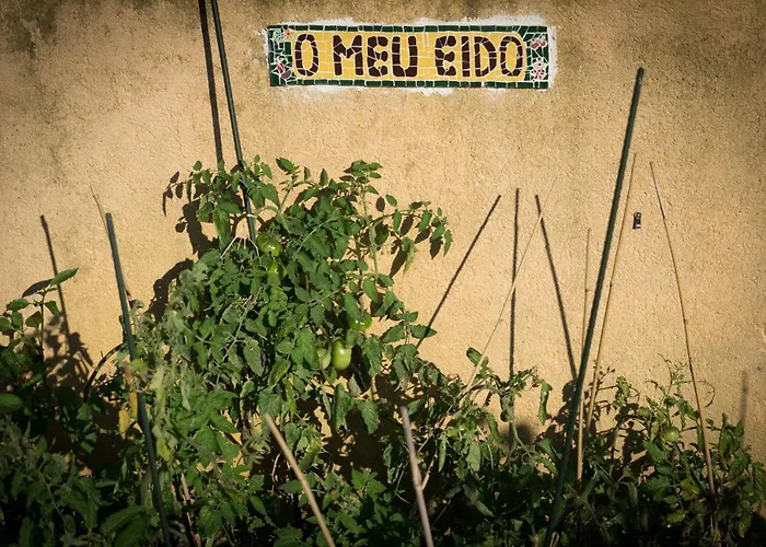 Apartamento Con Piscina Privada Apartment