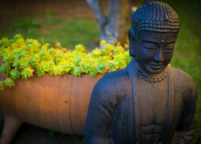 Apartamento Con Piscina Privada Apartment